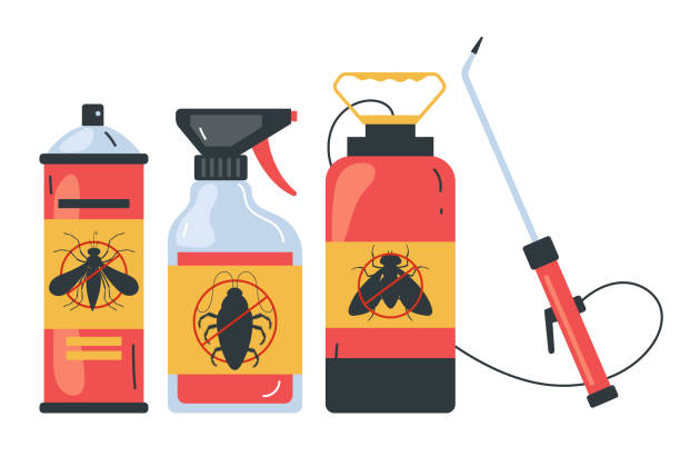 Best Ant Control Services  in USA